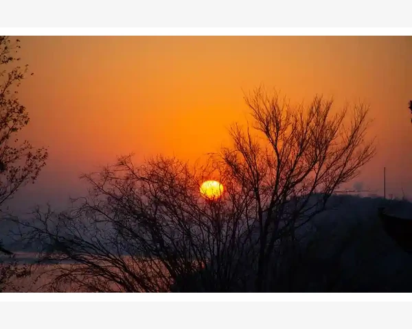 健身动作与脾胃健康：相辅相成的秘密